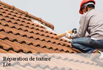 Réparation de toiture Lot 