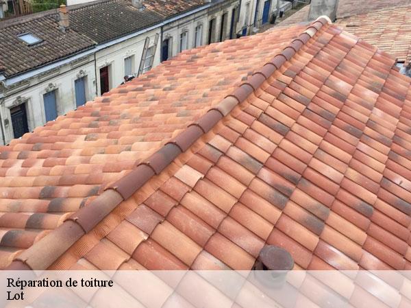Réparation de toiture Lot 