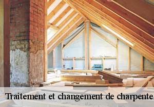 Traitement et changement de charpente Lot 