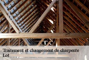Traitement et changement de charpente Lot 