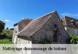 Nettoyage demoussage de toiture Lot 