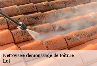 Nettoyage demoussage de toiture Lot 