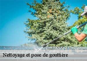 Nettoyage et pose de gouttière Lot 