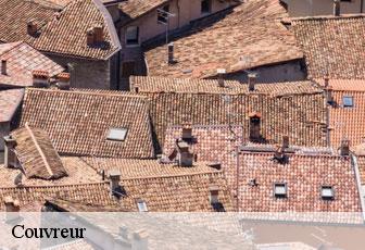 Couvreur  46230
