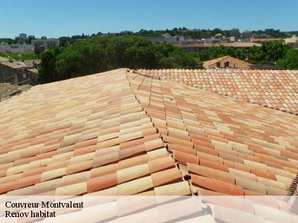 Couvreur  46600