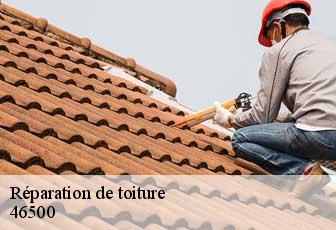 Réparation de toiture  46500