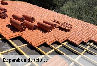 Réparation de toiture  46310