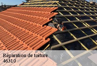 Réparation de toiture  46310