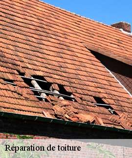 Réparation de toiture  46230