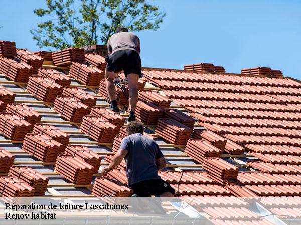 Réparation de toiture  46800