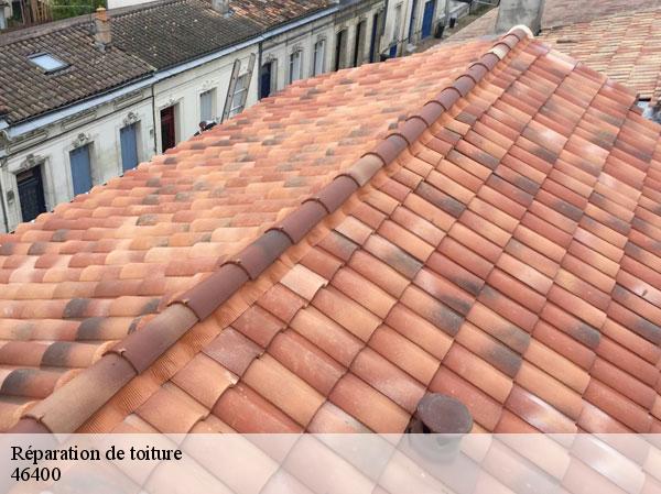 Réparation de toiture  46400