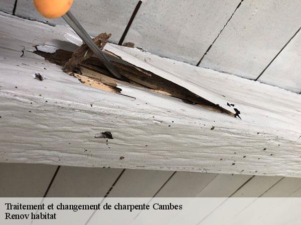 Traitement et changement de charpente  46100