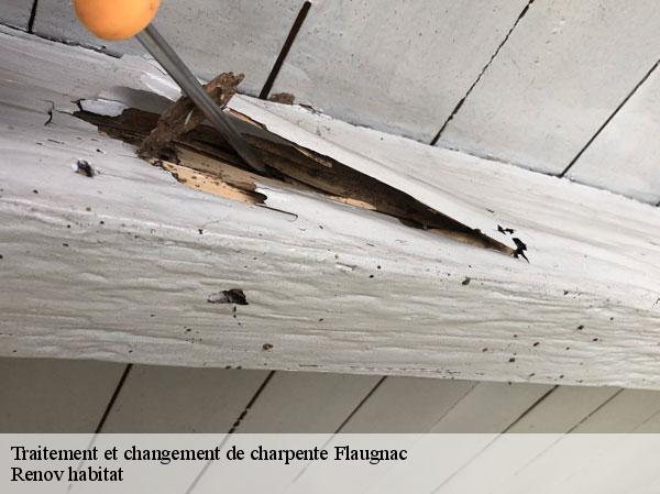 Traitement et changement de charpente  46170