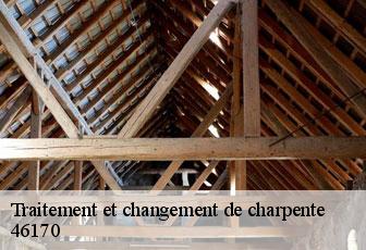 Traitement et changement de charpente  46170