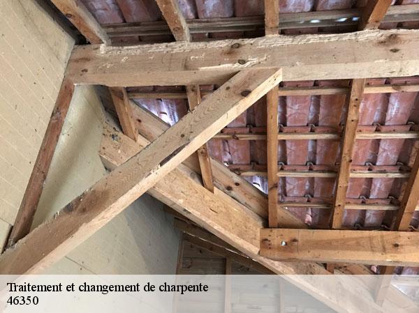 Traitement et changement de charpente  46350