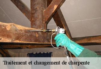 Traitement et changement de charpente  46350