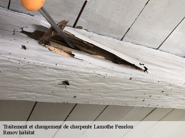 Traitement et changement de charpente  46350