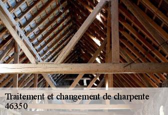 Traitement et changement de charpente  46350