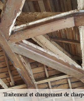Traitement et changement de charpente  46350