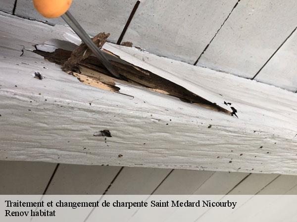 Traitement et changement de charpente  46210