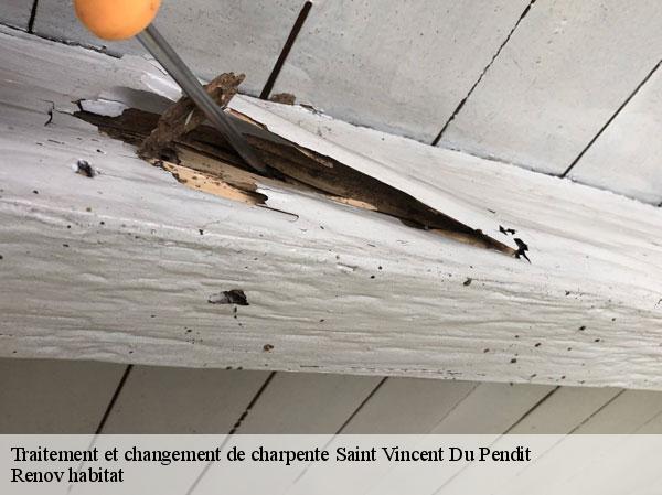 Traitement et changement de charpente  46400