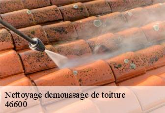 Nettoyage demoussage de toiture  46600