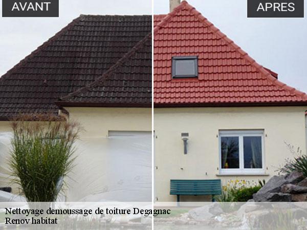 Nettoyage demoussage de toiture  46340