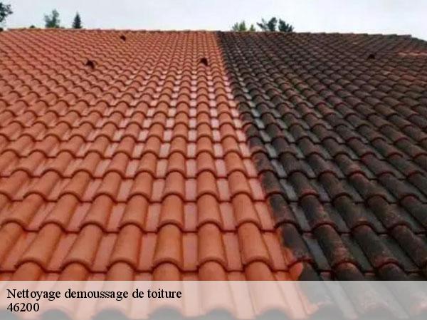 Nettoyage demoussage de toiture  46200
