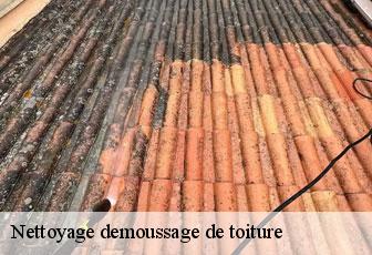 Nettoyage demoussage de toiture  46200