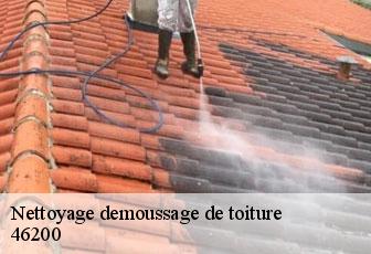 Nettoyage demoussage de toiture  46200