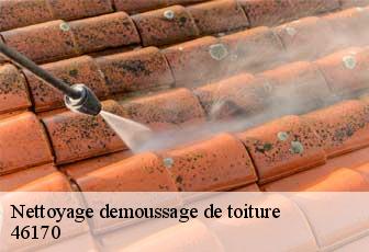 Nettoyage demoussage de toiture  46170