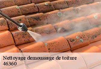 Nettoyage demoussage de toiture  46360