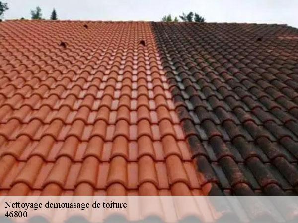 Nettoyage demoussage de toiture  46800