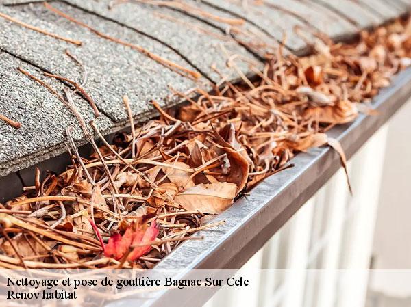 Nettoyage et pose de gouttière  46270
