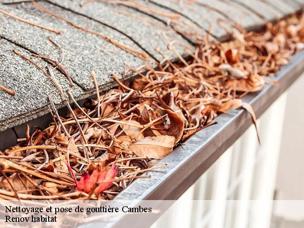 Nettoyage et pose de gouttière  46100