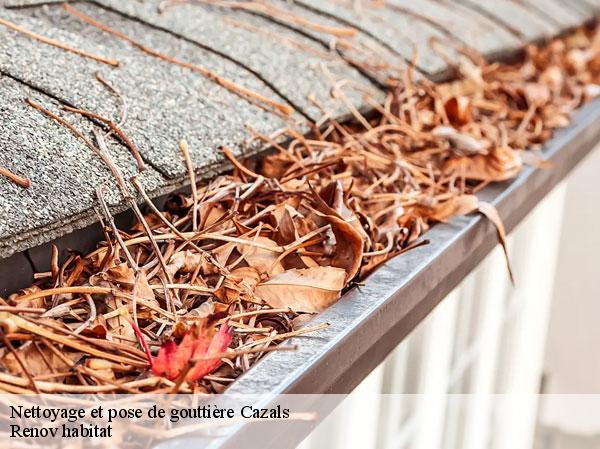 Nettoyage et pose de gouttière  46250
