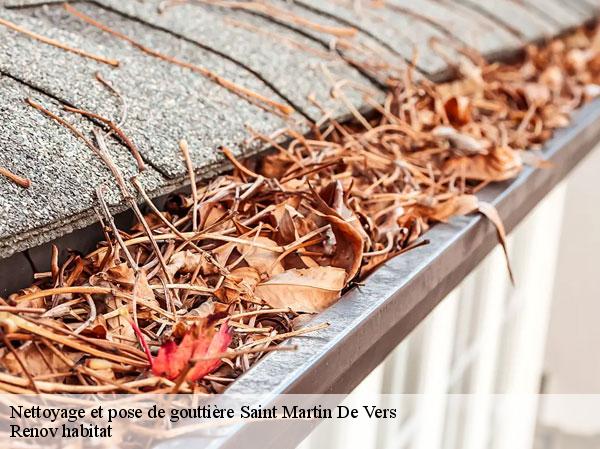 Nettoyage et pose de gouttière  46360