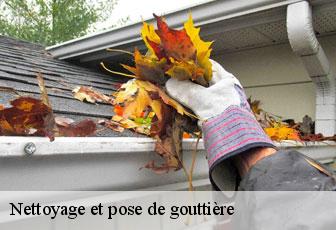 Nettoyage et pose de gouttière  46150