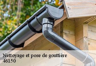 Nettoyage et pose de gouttière  46150