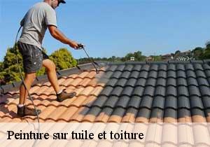 Peinture sur tuile et toiture  46500