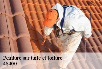 Peinture sur tuile et toiture  46400