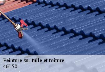Peinture sur tuile et toiture  46150