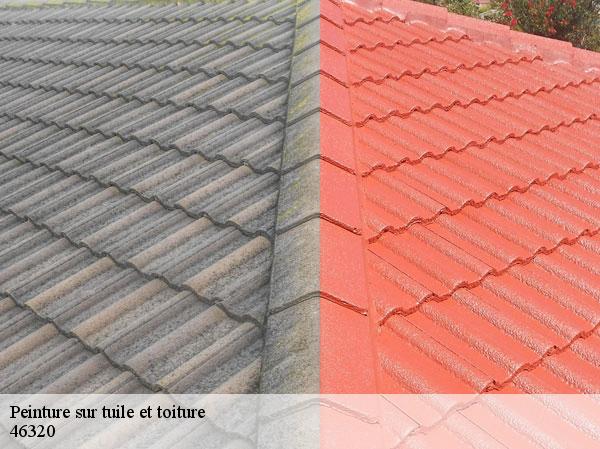 Peinture sur tuile et toiture  46320