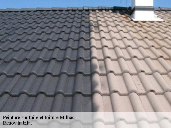 Peinture sur tuile et toiture  46300
