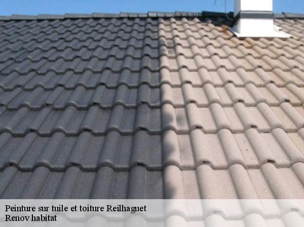Peinture sur tuile et toiture  46350