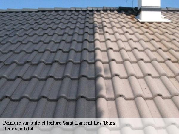 Peinture sur tuile et toiture  46400