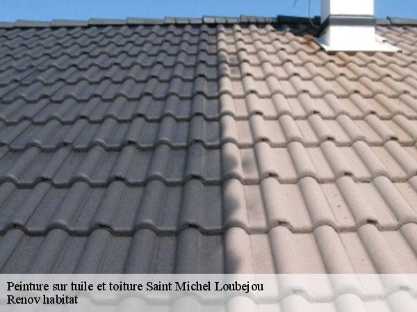 Peinture sur tuile et toiture  46130