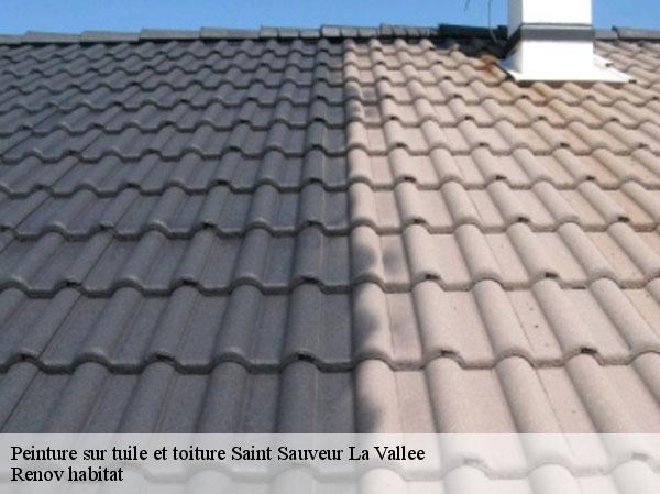 Peinture sur tuile et toiture  46240