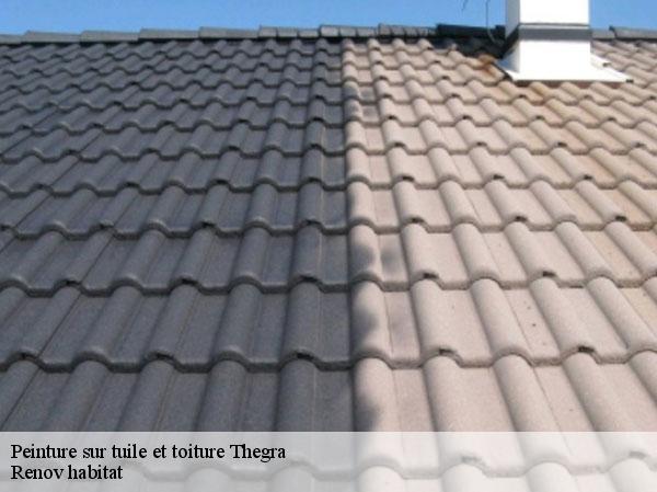Peinture sur tuile et toiture  46500