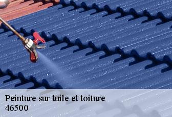 Peinture sur tuile et toiture  46500